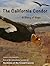 The California Condor: A Story of Hope