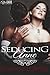 Seducing Anne by Chanse Lowell