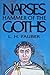 Narses, Hammer of the Goths: The Life and Times of Narses the Eunuch