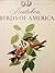 50 Audubon Birds of America: From the Original Double Elephant Folio