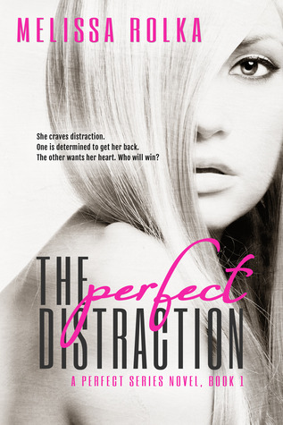 The Perfect Distraction (Perfect, #1)