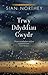Trwy Ddyddiau Gwydr by Sian Northey