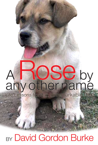 A Rose by Any Other Name - Life Lessons from an Unremarkable Dog