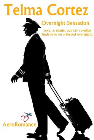 Overnight Sensation (AeroRomance Series: A Short Romance Story)