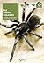 Las arañas gigantes: morfología, comportamiento, alimentación y reproduccion