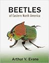 Beetles of Easter...