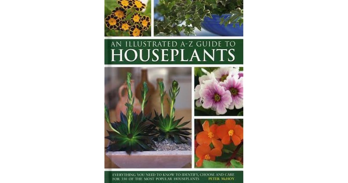 Illustrated AZ Guide to Houseplants Everything You Need to Know to
