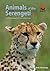 Animals of the Serengeti by Adam Scott Kennedy