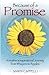 Because of a Promise: A Mother's Spiritual Journey from Whispers to Ripples