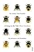 A Sting in the Tale by Dave Goulson