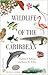 Wildlife of the Caribbean by Herbert A. Raffaele