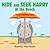 Hide and Seek Harry at the Beach (Hide and Seek Harry Boardbooks)