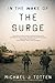 In the Wake of the Surge