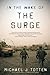 In the Wake of the Surge by Michael J. Totten