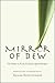 Mirror of Dew by Asghar Seyed-Gohrab