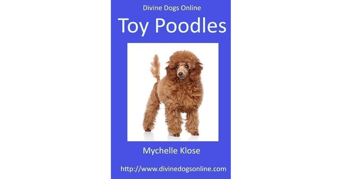 toy poodle online