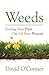Weeds: Getting Your Past Out of Your Present