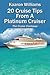 20 Cruise Tips from a Platinum Cruiser: The Cruise Contessa