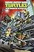 Teenage Mutant Ninja Turtles: New Animated Adventures, Volume 1