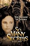The Promise of Zandra (So Many Secrets #1)