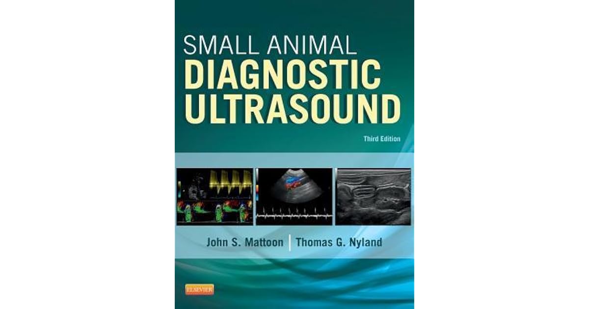 Small Animal Diagnostic Ultrasound by John S. Mattoon
