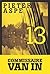 13 (Une enquête du commissaire Van In, #13)