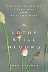 The Lotus Still B...