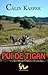Pui de tigan
