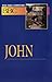 Basic Bible Commentary: John