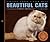 Beautiful Cats: Portraits of Champion Breeds: Preened to Perfection