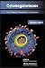 Cytomegaloviruses: From Molecular Pathogenesis to Intervention