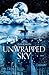 Unwrapped Sky (Caeli-Amur, #1)