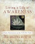 Living a Life of Awareness: Daily Meditations on the Toltec Path (Toltec Wisdom Series)