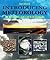 Introducing Meteorology: A Guide to the Weather (Introducing Earth and Environmental Sciences)