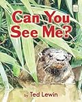 Can You See Me?