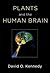 Plants and the Human Brain