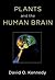 Plants and the Human Brain