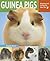 Guinea Pigs by Angela Beck