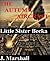 The Autumn Aircraft #1: Little Sister Becka