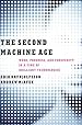 Book cover for The Second Machine Age: Work, Progress, and Prosperity in a Time of Brilliant Technologies