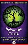 Below the Root