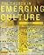 The Church in Emerging Culture by Leonard Sweet