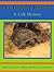 Gopher Tortoise: A Life Story (Life History Series)