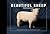Beautiful Sheep by Ivy Press Beautiful Sheep by Ivy Press