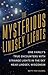 The Mysterious Lindsey Lights: One Family's True Encounters With Strange Lights in the Sky Near Lindsey, Wisconsin