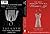 Most Important Year in a Woman's Life, The/The Most Important... by Robert Wolgemuth