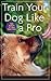 Train Your Dog Like a Pro by Jean Donaldson