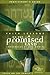 Faith Lessons on the Promised Land (Church Vol. 1) Participant's Guide