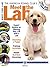 Meet the Lab (Akc Meet the Breed Series)