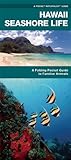 Hawaii Seashore Life: A Folding Pocket Guide to Familiar Plants and Animals (Wildlife and Nature Identification)